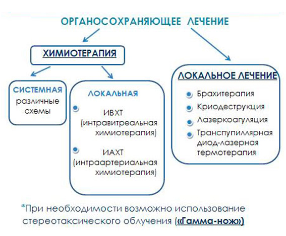 renin7.jpg Лечение ретинобластомы